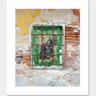 Gorilla in cage, Český Krumlov street art. Posters and Art